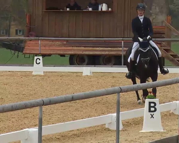 Reitturnier Altentrüdingen/Mfr. 2022