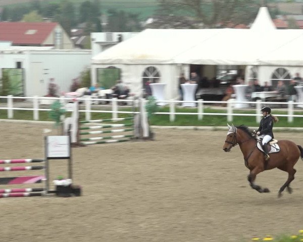 Reitturnier Ried am Riederberg 2022