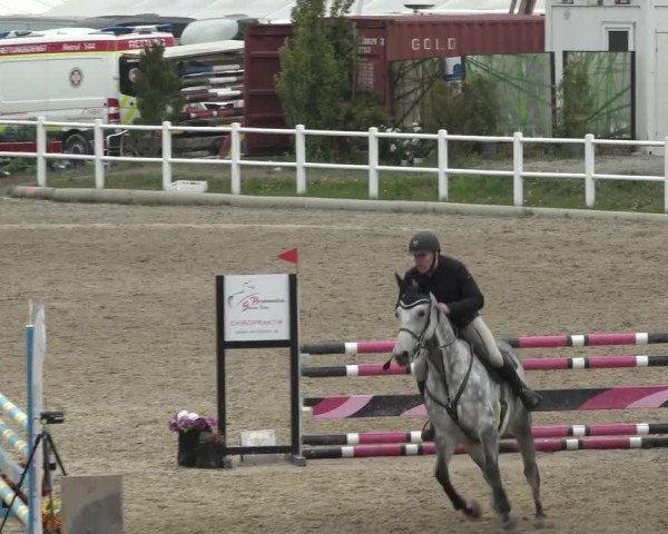 Reitturnier Ried am Riederberg 2022