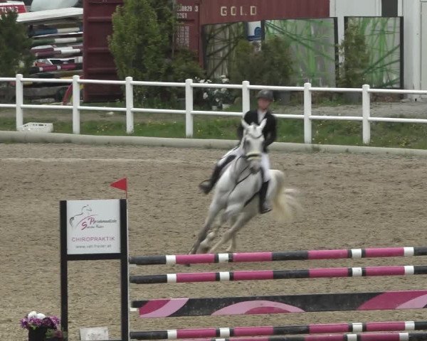 Reitturnier Ried am Riederberg 2022