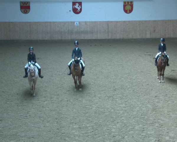 Pony- und Juniorenturnier Olfen-Vinnum 2022
