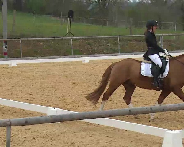Reitturnier Altentrüdingen/Mfr. 2022