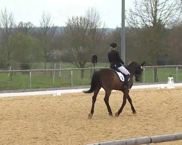 Reitturnier Altentrüdingen/Mfr. 2022