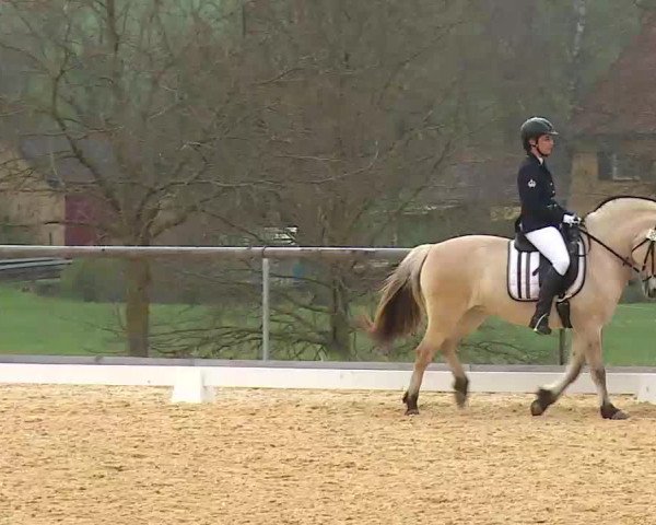 Reitturnier Altentrüdingen/Mfr. 2022