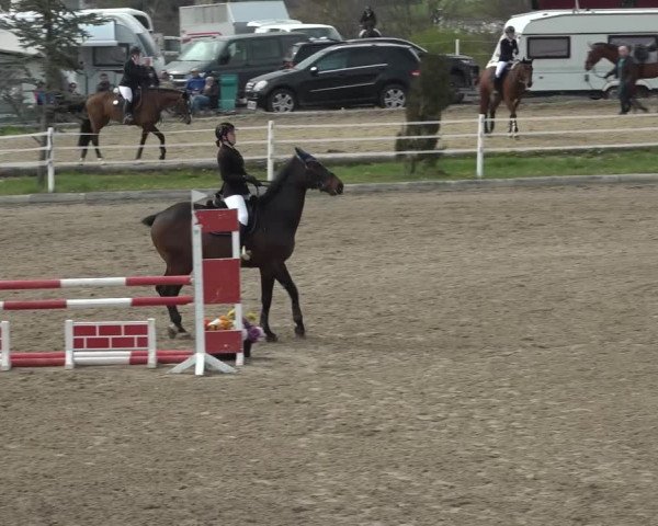 Reitturnier Ried am Riederberg 2022
