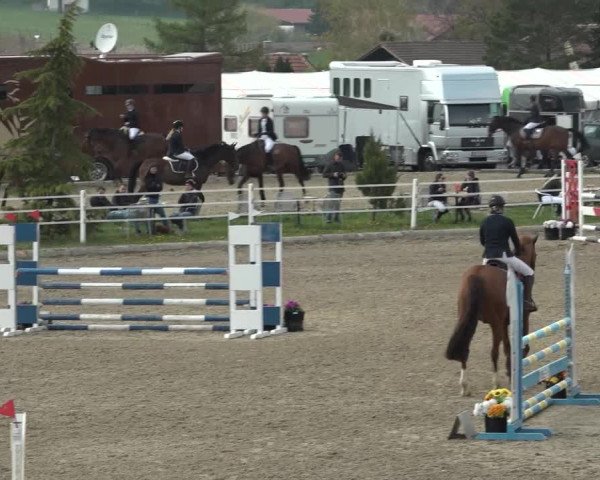 Reitturnier Ried am Riederberg 2022