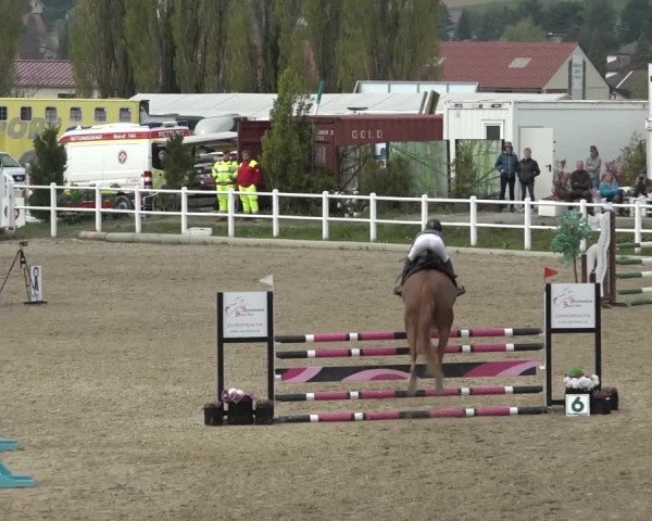 Reitturnier Ried am Riederberg 2022