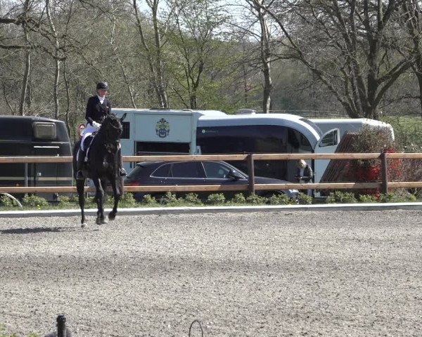 Reitturnier Schwanewede 2022