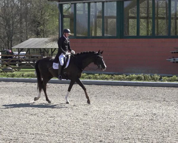Reitturnier Schwanewede 2022