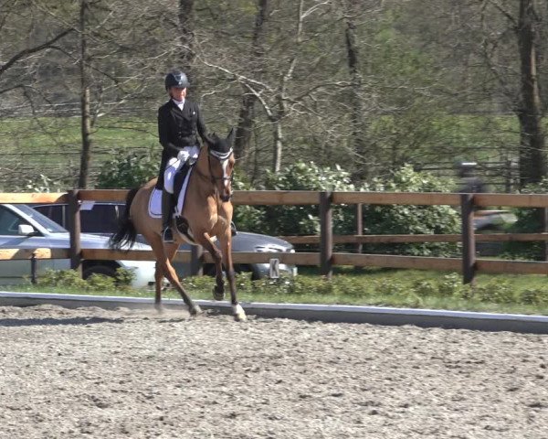Reitturnier Schwanewede 2022