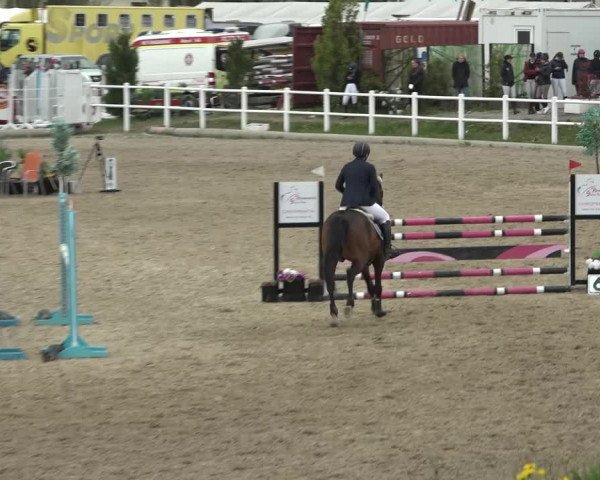 Reitturnier Ried am Riederberg 2022