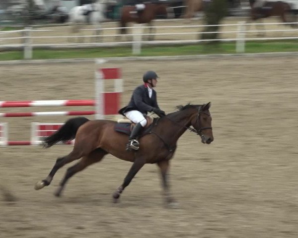 Reitturnier Ried am Riederberg 2022