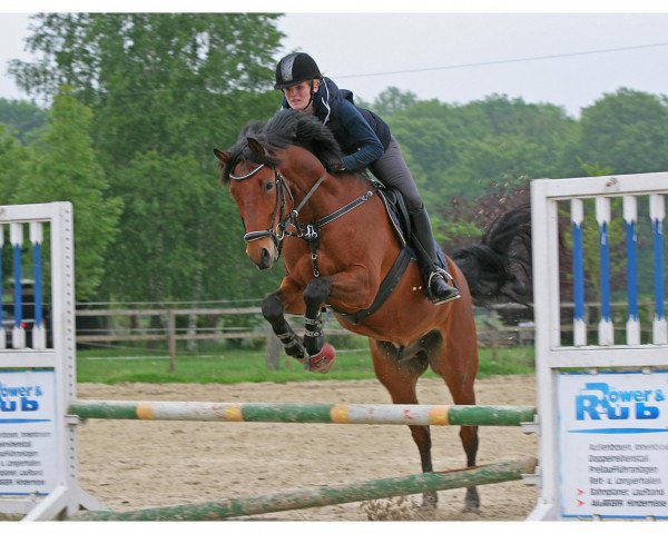 Dressurpferd Riviero (Rheinländer, 2004, von Riccione)