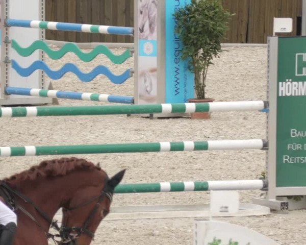Springturnier Memmingen 2022