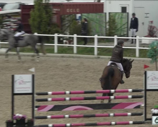 Reitturnier Ried am Riederberg 2022