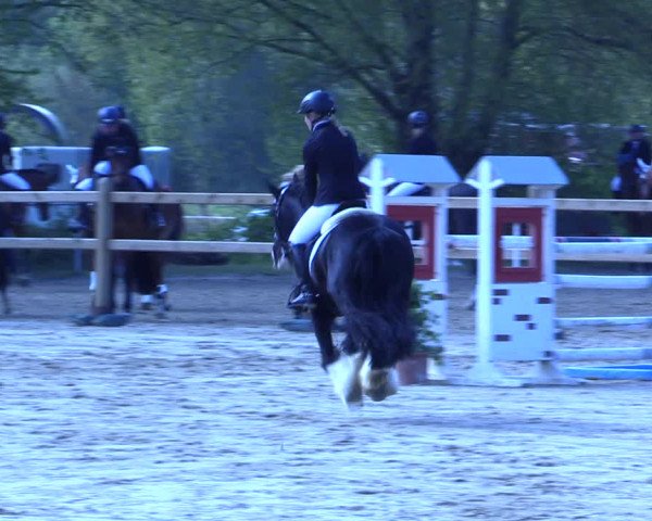 Reitturnier Kamen 2022