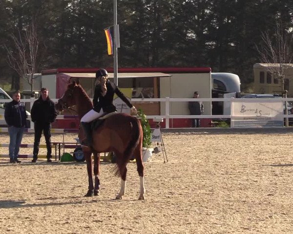 Ladelunder Turniertage 2022