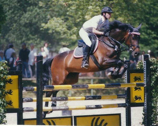 Zuchtstute Ciara (Württemberger, 2002, von Centesimo I)