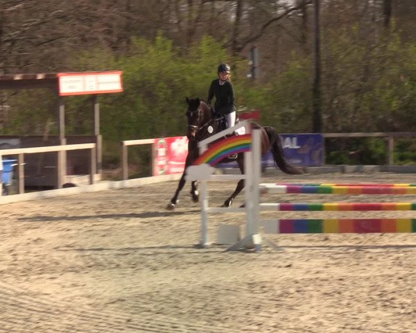 Reitturnier Kropp 2022