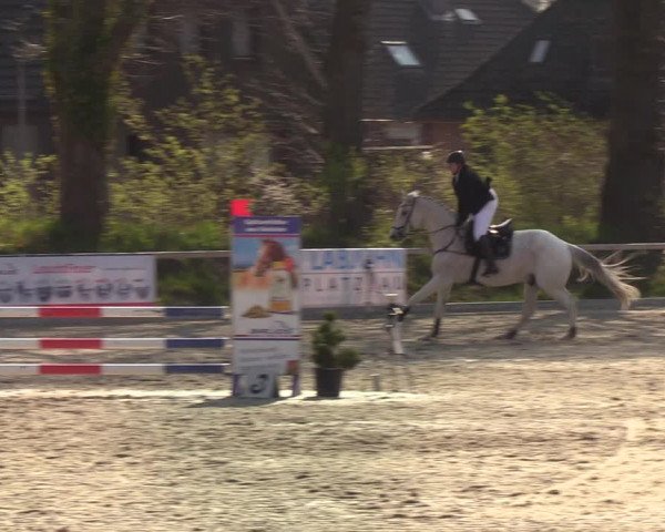 Reitturnier Kropp 2022