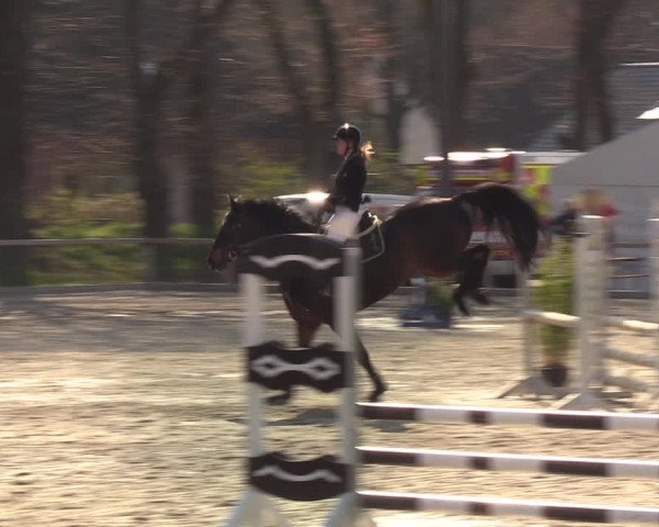Reitturnier Kropp 2022
