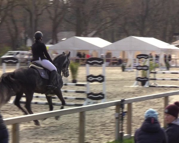 Reitturnier Kropp 2022