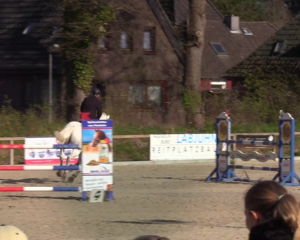 Reitturnier Kropp 2022