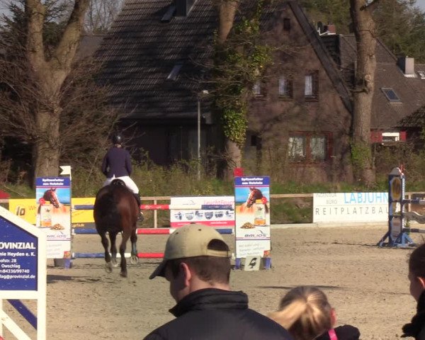 Reitturnier Kropp 2022