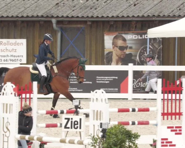 Springturnier Memmingen 2022