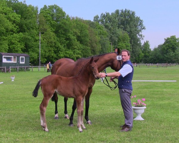 Zuchtstute Monte's First (Westfale, 2013, von Monte Cain)