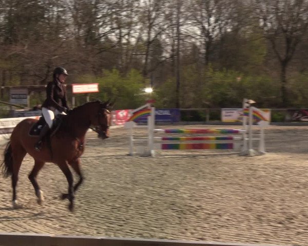 Reitturnier Kropp 2022
