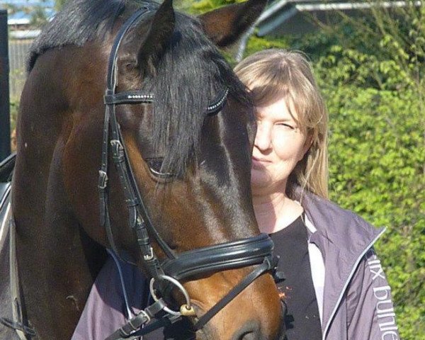 dressage horse Hof Lohmann's Dekan (Hanoverian, 2007, from Dimaggio)