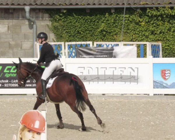 Springturnier Memmingen 2022