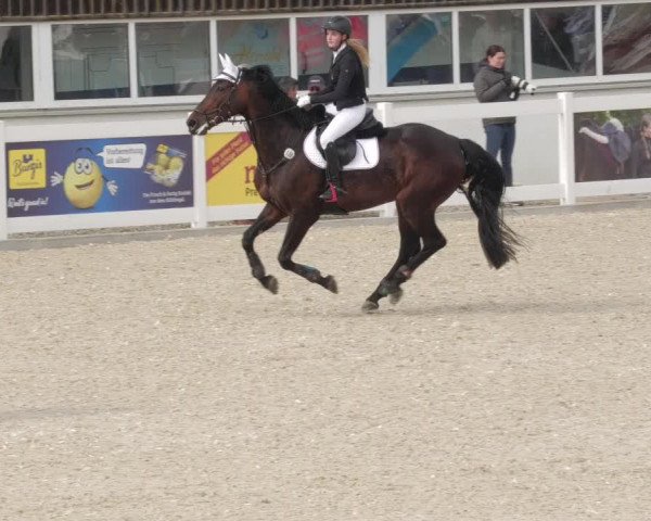 Springturnier Memmingen 2022