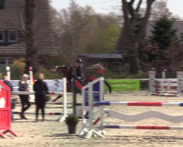 Reitturnier Kropp 2022