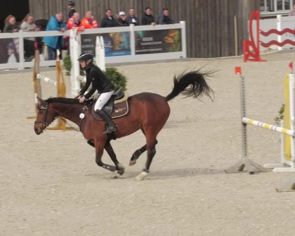 Springturnier Memmingen 2022