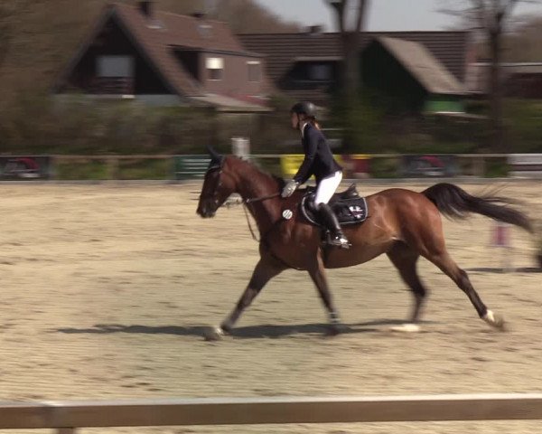 Reitturnier Kropp 2022