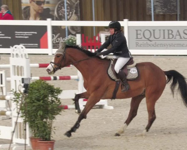 Springturnier Memmingen 2022