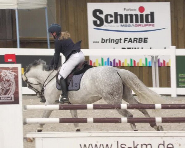 Springturnier Memmingen 2022