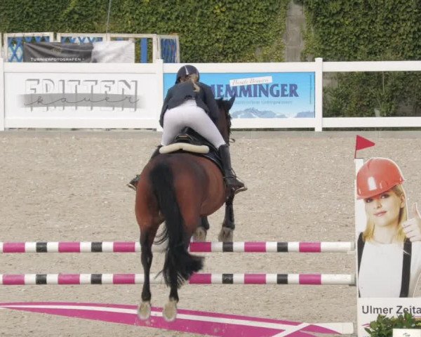 Springturnier Memmingen 2022