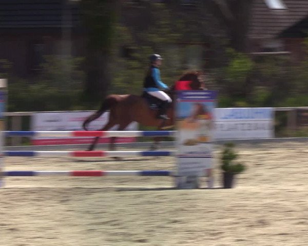 Reitturnier Kropp 2022
