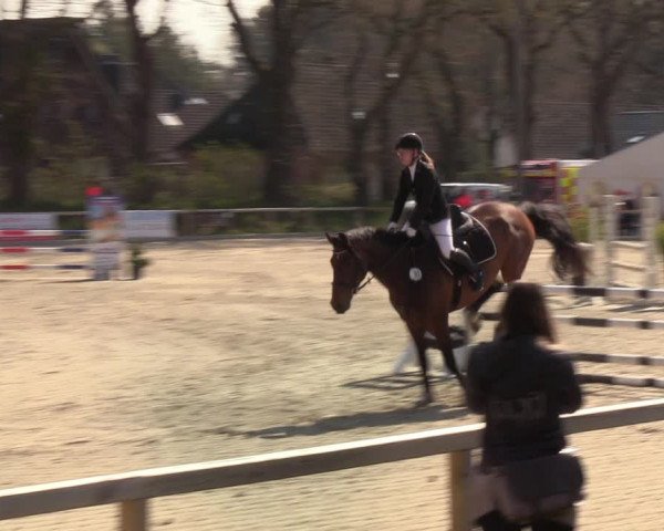 Reitturnier Kropp 2022