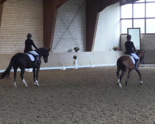 Reitturnier Kamen 2022