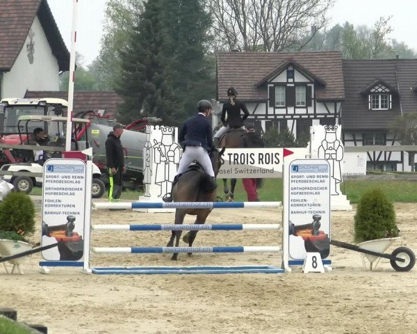 Reitturnier Wädenswil 2022