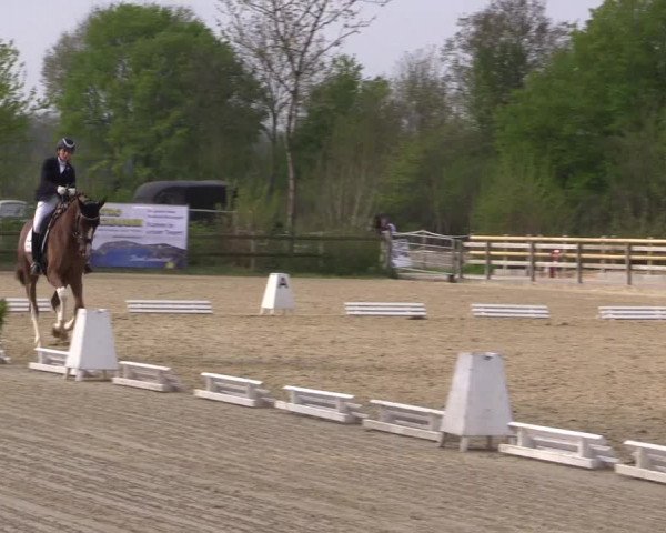 Reitturnier Nienberge 2022