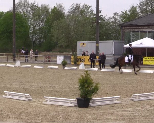 Reitturnier Nienberge 2022