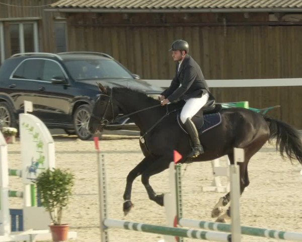Springturnier Memmingen 2021