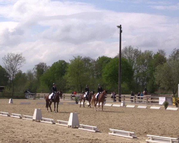 Reitturnier Nienberge 2022