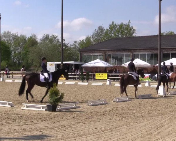Reitturnier Nienberge 2022