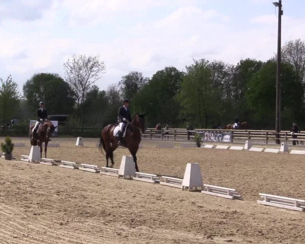 Reitturnier Nienberge 2022